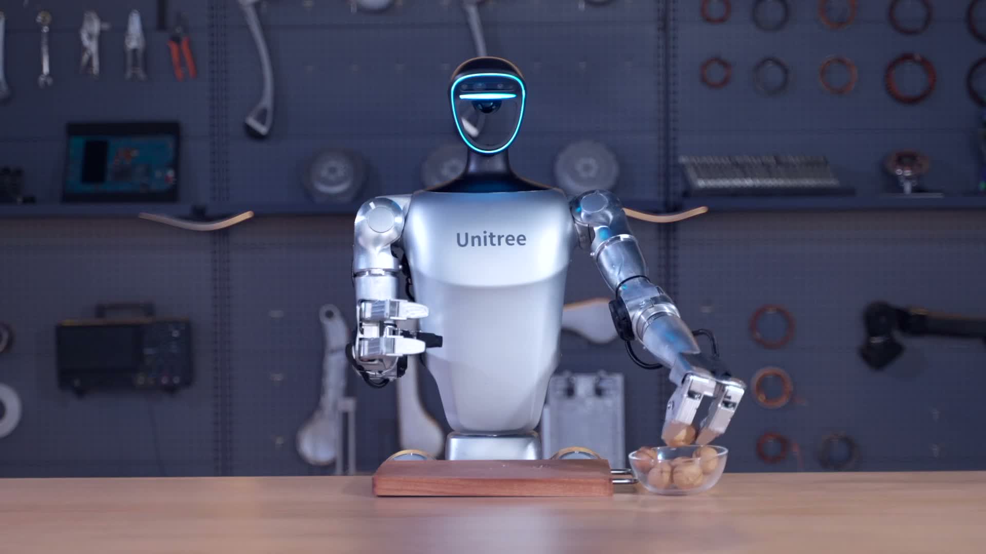 Dexterity demo